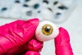 Artificial plastic human eye in doctor's hands.Eyes transplantation. eye prosthesis.