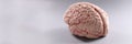 Artificial plastic model of human brain on gray background