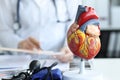 Artificial plastic model of human heart standing against background of cardiologist closeup Royalty Free Stock Photo