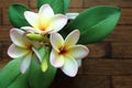 Artificial plumeria flowers in pot on wooden table, Top view Royalty Free Stock Photo