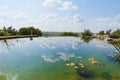 artificial pond with fish in the garden of a country house. Royalty Free Stock Photo