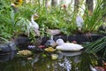 Artificial pond with toy ducks. Royalty Free Stock Photo