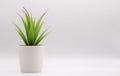 Artificial potted green plant with pot over white background