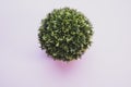 Green artificial potted plant on a light pink tabletop directly above view