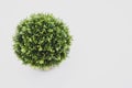 Circular green artificial potted plant in a stone vase close up top view