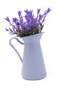 Artificial purple flowers in decorative plastic vase on isolated white background Royalty Free Stock Photo