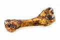 Artificial and realistic bone for dogs, chewable toy for dogs, on isolated white background