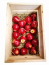 The artificial red apple which is made of plastic, displaying on brown straw in a wooden box, isolated on white background. Royalty Free Stock Photo