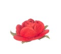 Artificial red flower isolated on white Royalty Free Stock Photo