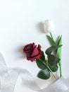 Artificial Red rose and white tulip flowers. Royalty Free Stock Photo