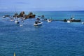 The Tangalooma Wrecks. Moreton Island Royalty Free Stock Photo