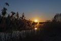 artificial reservoir bachmaty just before sunset, dubicze cerkiewne, hajnowka poviat Royalty Free Stock Photo