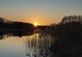 artificial reservoir bachmaty just before sunset, dubicze cerkiewne, hajnowka poviat Royalty Free Stock Photo