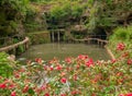 An artificial rock pond in Ernzen Royalty Free Stock Photo