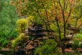 Artificial rock with a waterfall among decorative bushes Royalty Free Stock Photo