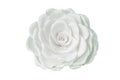 Artificial rose white color, handmade from foam Royalty Free Stock Photo