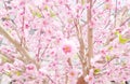 Artificial Sakura Flowers for Decorating Japanese Style Royalty Free Stock Photo