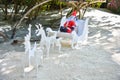 Artificial Santa Clause with deers riding on the beach Royalty Free Stock Photo