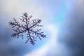 Artificial snowflake on the window. soft focus