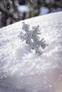 Artificial snowflake in winter