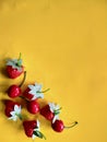 Artificial strawberries and cherries fruit isolated on orange background. Free copy space