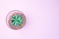 Artificial succulent in a glass terrarium on pink background, home decoration, horizontal, copy space, top view