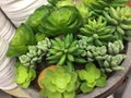 Artificial succulents mixed in flowerpot