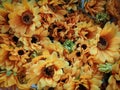 artificial sunflower background