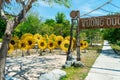 Artificial sunflowers and palm trees near a road in a park in the tropics Royalty Free Stock Photo