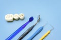 Artificial teeth with caries and toothbrush with dental tools lie on a blue background Royalty Free Stock Photo