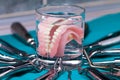 Artificial teeth in a cup with dental  instruments Royalty Free Stock Photo