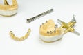 artificial teeth on implants. jaw model with dental implants. a screwdriver is inserted into the abutment Royalty Free Stock Photo