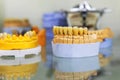 Artificial teeth on the layout of the jaw. Dental prosthetics in a dental clinic. Close-up Royalty Free Stock Photo