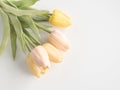 Artificial tulip flowers on white desk Royalty Free Stock Photo