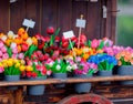 Artificial tulips in a pots on sale stand