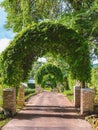 Artificial tunnel. Iron arch decorated with tree in the form of a tunnel. installation of an arch with bush. Green shady corridor Royalty Free Stock Photo