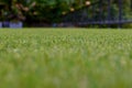 Artificial turf background under sunshine Royalty Free Stock Photo