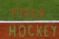 Artificial Turf on a field hockey Sports Field Royalty Free Stock Photo