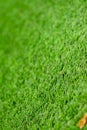 Artificial turf green grass. Used selective focus Royalty Free Stock Photo