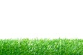 Artificial Turf for Soccer Field on White Background. Royalty Free Stock Photo