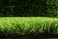 Artificial turf with sunshine Royalty Free Stock Photo