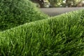 Artificial turf with sunshine Royalty Free Stock Photo