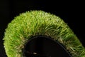 Artificial turf with sunshine