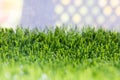 Artificial turf with sunshine Royalty Free Stock Photo