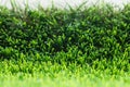 Artificial turf with sunshine Royalty Free Stock Photo