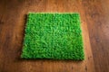 Artificial turf tile Royalty Free Stock Photo