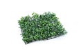 Artificial turf tile on a white background Royalty Free Stock Photo