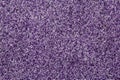 Artificial violet mat plastic fibers