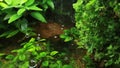 Artificial waterfall in tropical city garden. Vertical pan. Close up