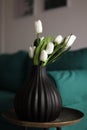 artificial white tulips and green leaves in a black vase on the table in home interior. Royalty Free Stock Photo